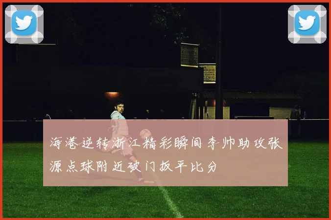 海港逆转浙江精彩瞬间李帅助攻张源点球附近破门扳平比分