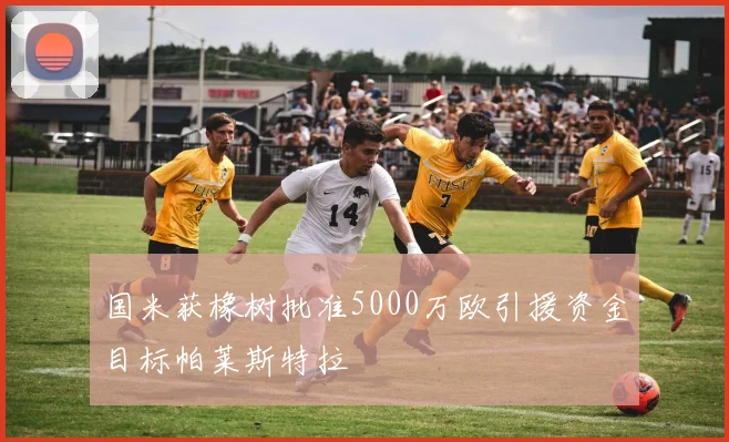 国米获橡树批准5000万欧引援资金目标帕莱斯特拉